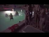 Convenção Fetishcon. Festa de sexo em piscina